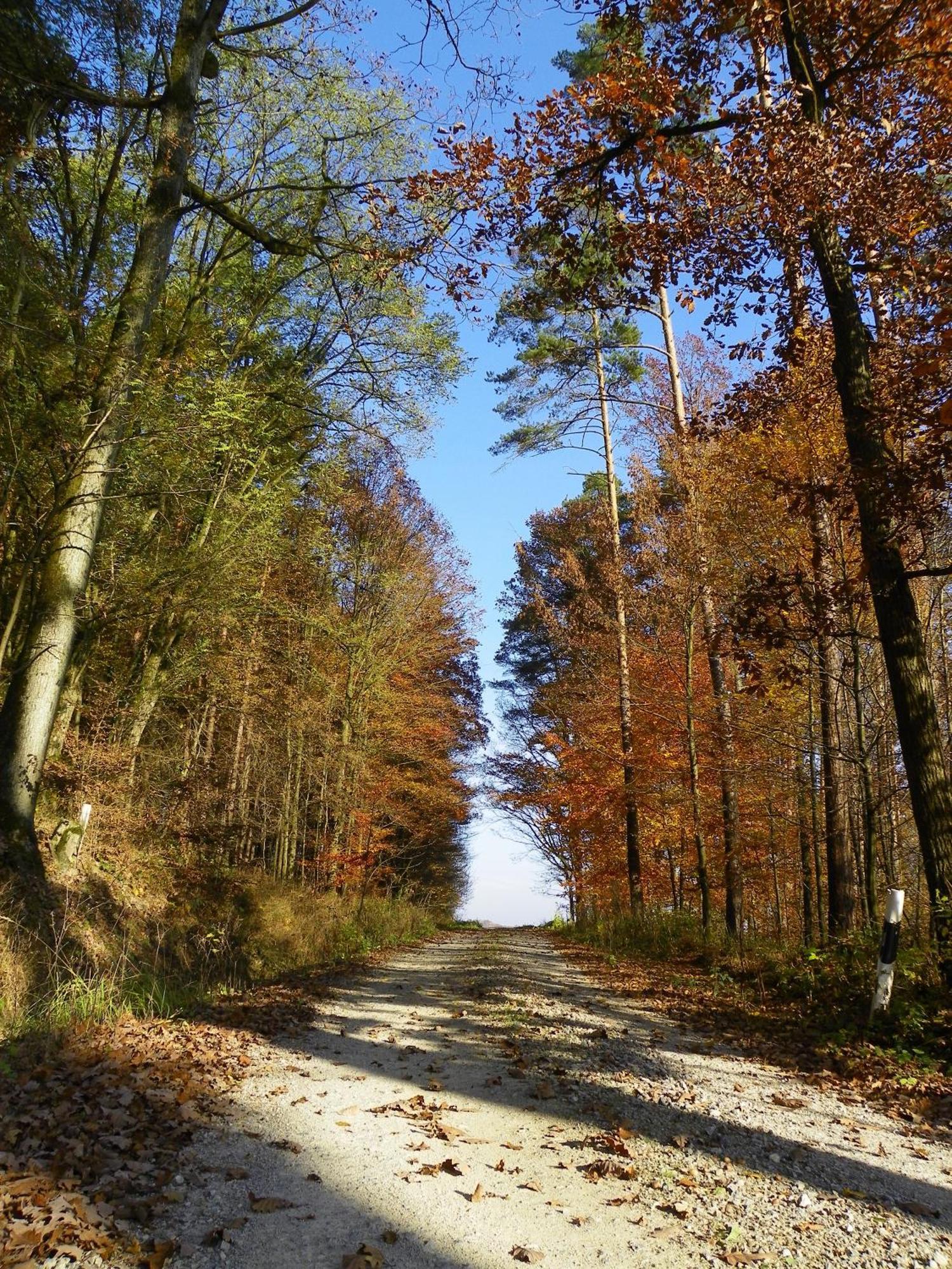 Landhotel Steigerwaldhaus Burghaslach Bagian luar foto
